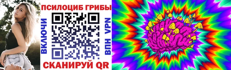 закладки  Новоалександровск  Галлюциногенные грибы мухоморы 